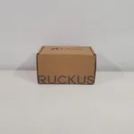 Точка доступа Ruckus P300 901-P300-WW01 купить