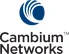 Cambium