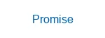 Promise